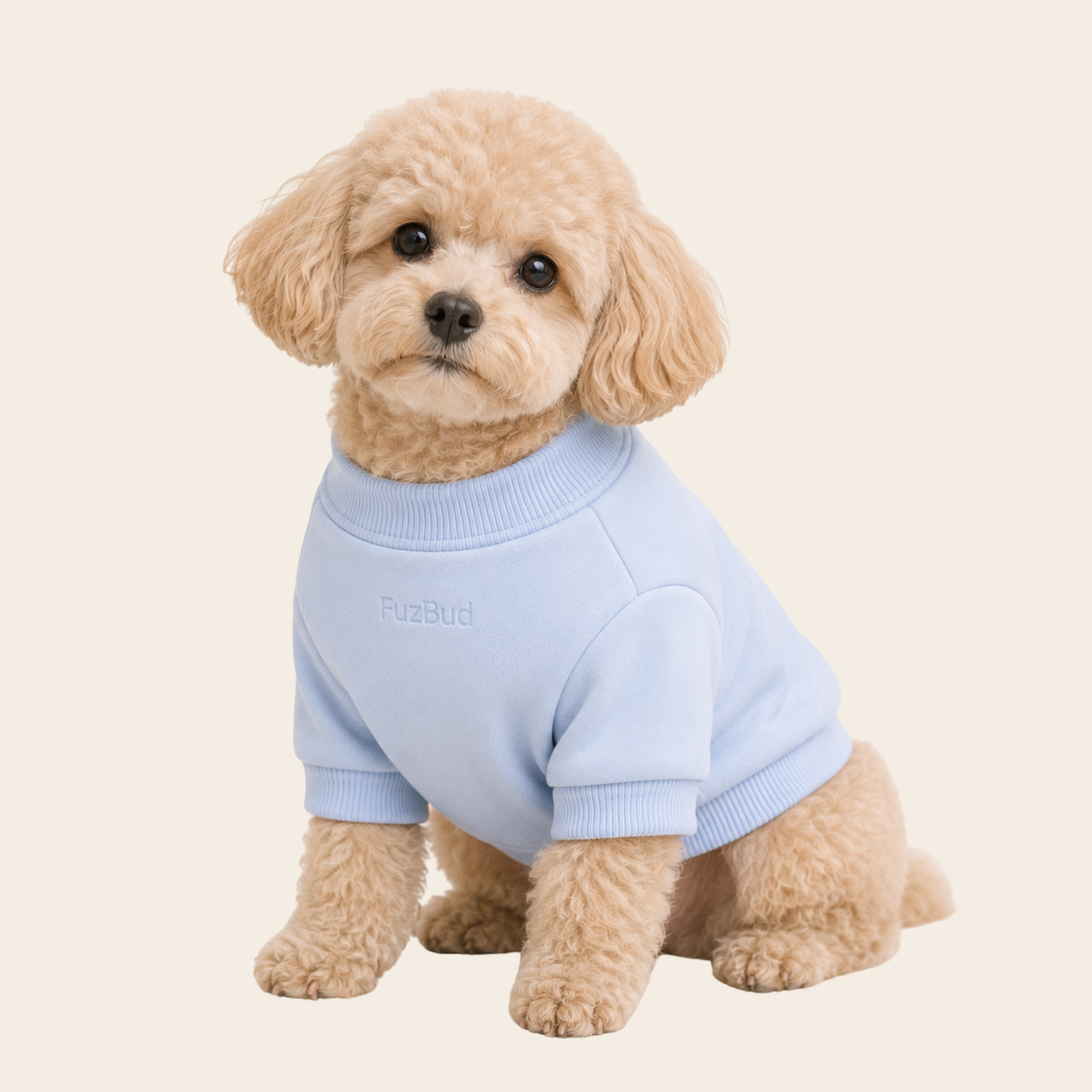 Dog Sweater