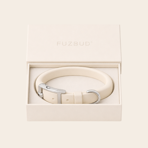 Pet Collar