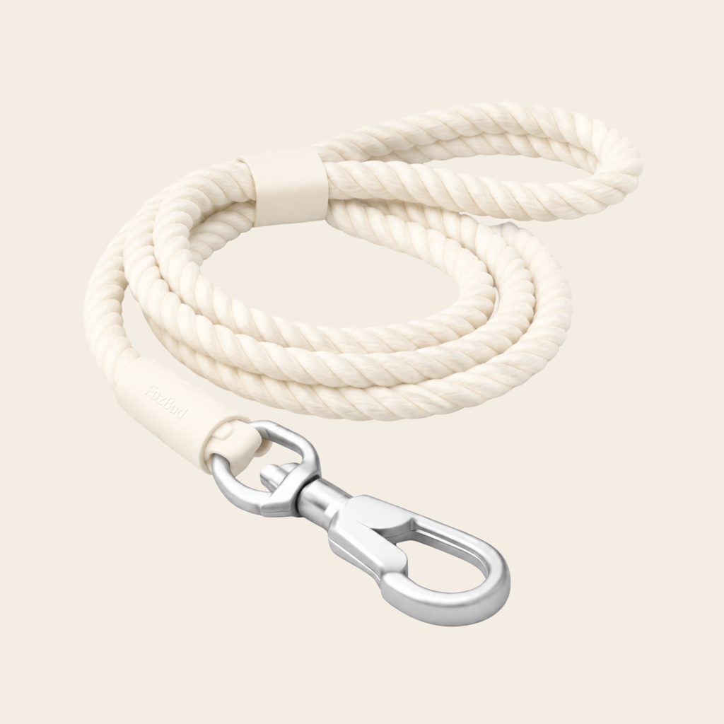Pet Leash