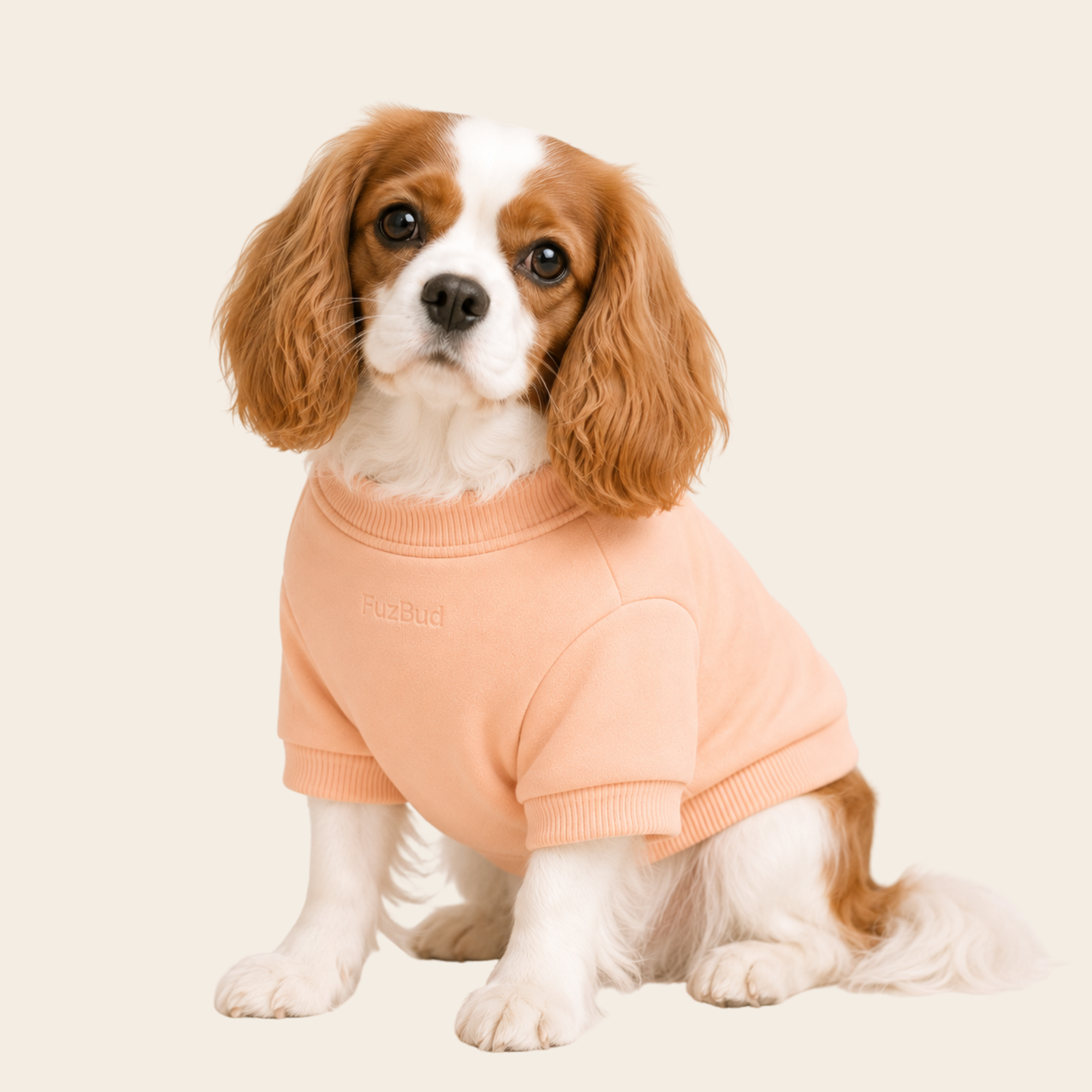 Dog Sweater