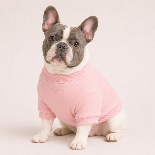 Dog Sweater