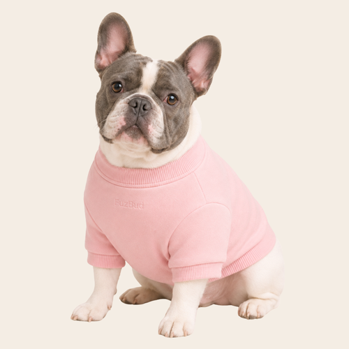 Dog Sweater